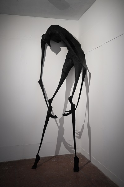 Exhibition visitor viewing artwork